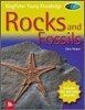 Rocks and Fossils