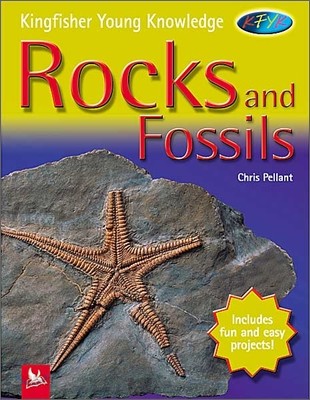 Rocks and Fossils