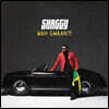 Shaggy - Wah Gwaan?! 섀기 12집 [컬러 2LP]