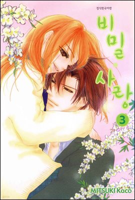 비밀사랑 3권 (완결)