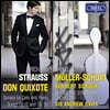 Daniel Muller-Schott 슈트라우스: 돈키호테, 첼로 소나타 F장조 - 다니엘 뮐러-쇼트 (Strauss: Don Quixote, Cello Sonata)