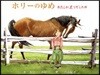 ホリ-のゆめ わたしが走りだした日