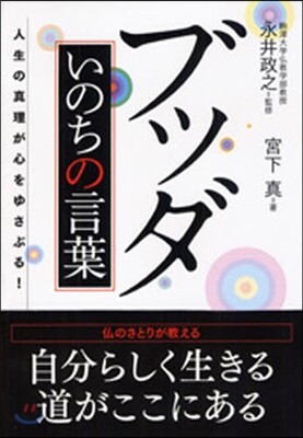 ブッダ いのちの言葉