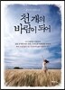 천 개의 바람이 되어
