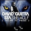 David Guetta (Feat. Sia) - She Wolf (Falling To Pieces)