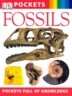 Fossils