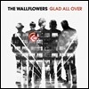 The Wallflowers - Glad All Over