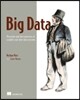 Big Data: Principles and Best Practices of Scalable Realtime Data Systems