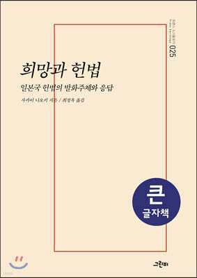 희망과 헌법 (큰글자책)