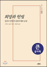 희망과 헌법 (큰글자책)
