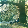 Yoko Ono - Plastic Ono Band (LP+Download Card)