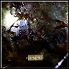Cocteau Twins - Head Over Heels (LP)