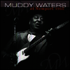 Muddy Waters - At Newport 1960 (LP)