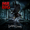 Mr. Big - Defying Gravity (Ltd. Ed)(Gatefold)(LP)