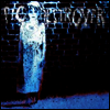 Pig Destroyer - Book Burner (LP)