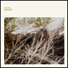 Luke Temple - Hand Through The Cellar Door(LP)