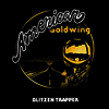 Blitzen Trapper - American Goldwing (LP)