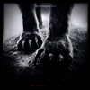 Shearwater - Animal Joy (LP)