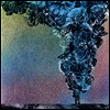 Daughn Gibson - Carnation (LP)