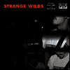 Strange Wilds - Standing+2 (MP3 Download)(7Iinch Single LP)