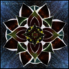 Arbouretum - Song Of The Rose (Limited Edition)(LP)
