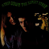 Leathercoated Minds - Trip Down The Sunset Strip (180G)(LP)