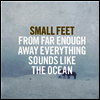 Small Feet - From Far Enough Away Everything Sounds Like The Ocean (Vinyl LP)