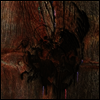Avey Tare's Slasher Flicks - Enter The Slasher House (2LP)