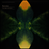 Bonobo - North Borders (180g LP)