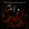 New Gary Burton Quartet - Common Ground (180G)(2LP)