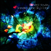 Richard Hawley - Standing At The Sky's Edge (LP+CD)