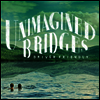 Driver Friendly - Unimagined Bridges (LP)