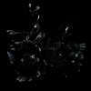 Spotlights - Love & Decay (LP)