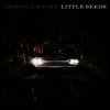 Shovels & Rope - Little Seeds (MP3 Download)(180G)(2LP)