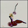 Future Islands - Far Field (Ltd. Ed)(White Vinyl)(LP)
