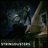 Infamous Stringdusters - Ladies & Gentlemen (LP)