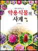 꿀벌이 좋아하는 꽃 약용식물의 사계