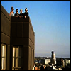 Pins - Wild Nights (LP)