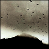Kris Drever - If Wishes Were Horses (180g LP)