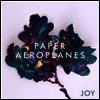 Paper Aeroplanes - Joy (Download Code)(Vinyl LP)