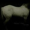 Over The Rhine - Drunkard's Prayer (Gatefold)(Vinyl 2LP)