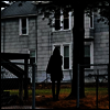 Tallest Man On Earth - Dark Bird Is Home (LP)