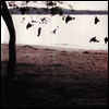 Tallest Man On Earth - There's No Leaving Now (LP)