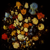 Young Moon - Navigated Like The Swan (LP)