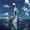 Perpetual Groove - Perpetual Groove (Colored LP)