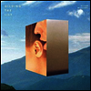 Devon Williams - Gilding The Lily (LP)