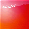 Cheerleader - Sunshine Of Your Youth (Download Card)(Vinyl LP)