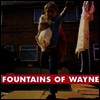 Fountains Of Wayne - Fountains Of Wayne (180G)(LP)