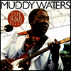 Muddy Waters - The R&B Hits (180G)(LP)