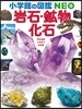 岩石.?物.化石